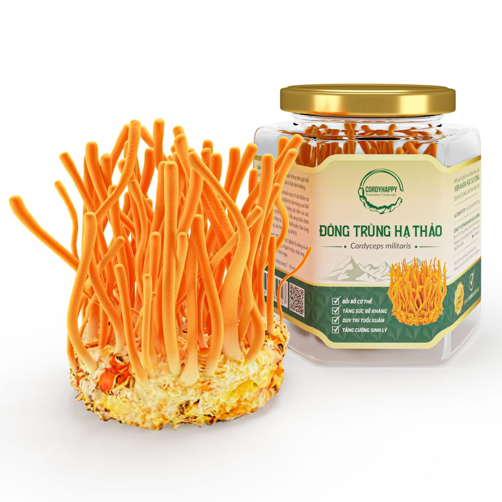đông trùng hạ thảo đông trùng hạ thảo