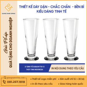 Ly sinh tố DUBLIN FT01 12