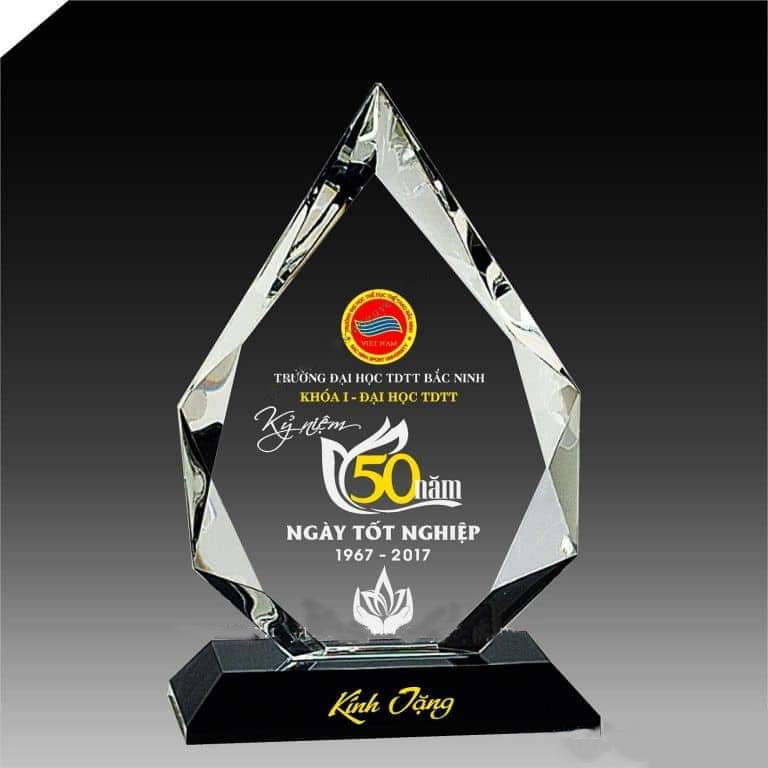 Kỷ niệm chương in logo đẹp Kỷ niệm chương in logo đẹp
