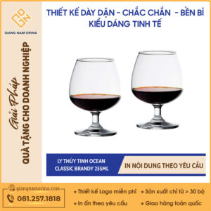 Ly Thủy Tinh Ocean Classic Brandy 255ml