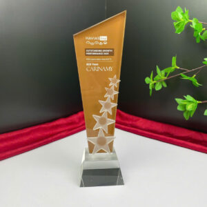 Kỷ niệm chương thuỷ tinh PL08