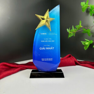 Kỷ niệm chương ngôi sao pha lê PL11