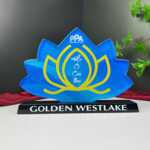 Kỷ niệm chương pha lê thiết kế theo yêu cầu