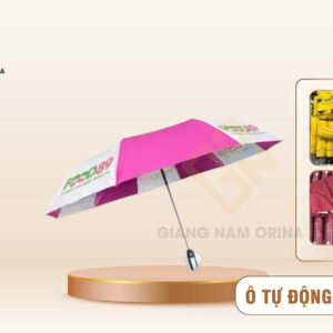 Ô Tự Động 2 Chiều